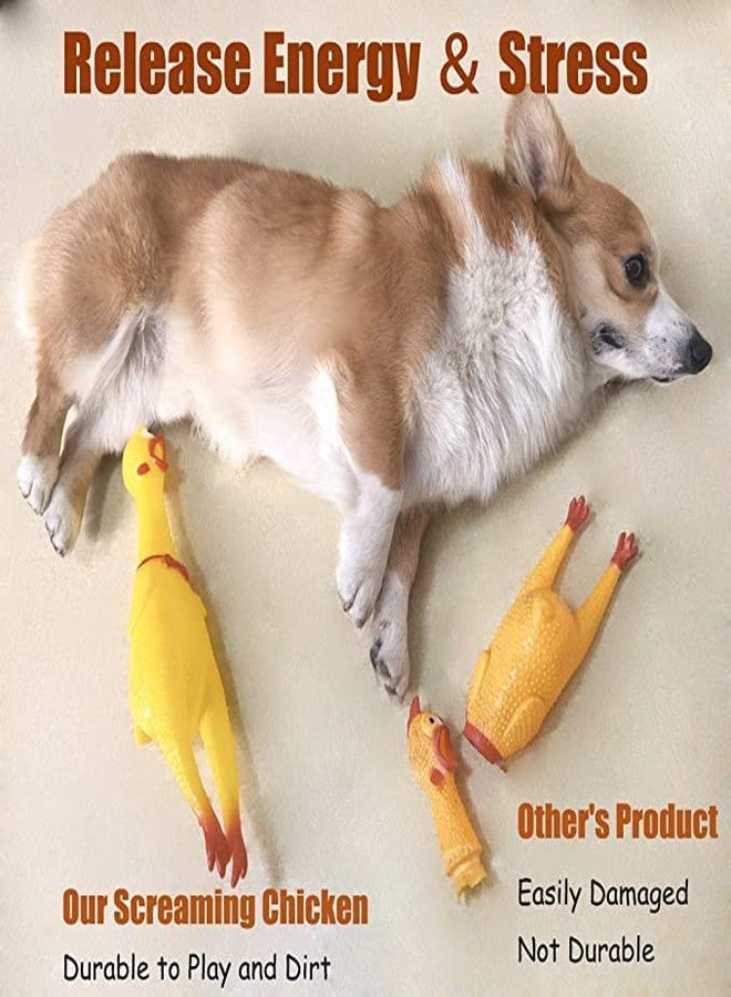 Pups&Pets Screaming Chicken Rubber Toy - 15 Inch Squawking Squeeze Squeaky Molar Chicken Toy for Puppies and Dogs (Pack of 1) - Image 5